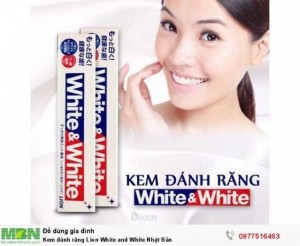 Kem đánh răng Lion White and White Nhật Bản