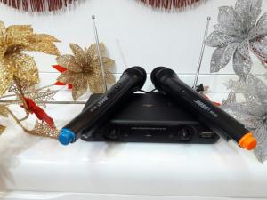 Micro không dây BOSE 206 chuyên nghiệp