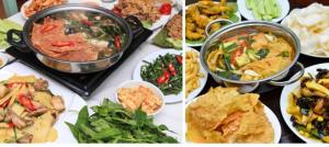 Bếp hồng ngoại CHIYODA C8 Nhật Bản