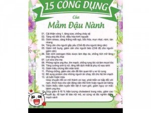 Mầm đậu nành nguyên xơ