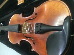 Violin Sottcao STV 017E