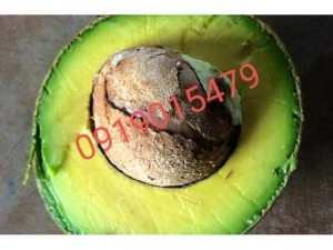 Sỉ lẻ Bơ booth7 đắc lắc