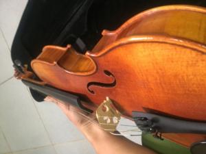 Violin Sottcao STV 017E