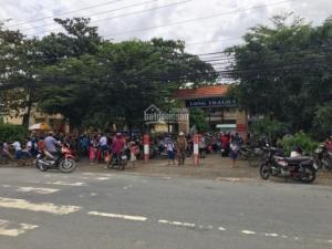 đẹp