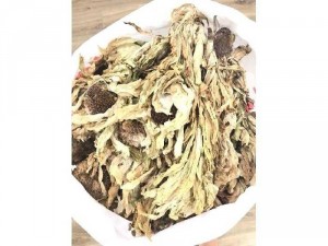 Tuyết Liên Hoa