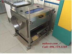 Máy rửa củ quả, máy rửa khoai lang, cà rốt, khoai tây, nghệ...