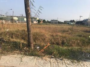 Bán gấp 155m2 đường Thành Long. SHR.