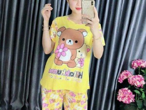 Chuyên sỉ set bộ