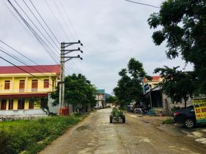 Những hình ảnh thực tế