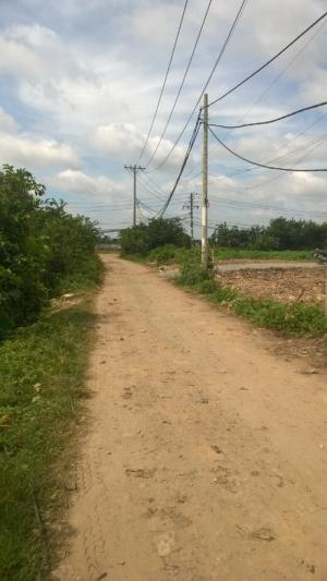 Cần bán đất 2 mặt tiền, chính chủ, liên ấp 123 Vĩnh Lộc A, Bình Chánh.