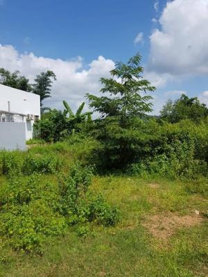 Đất Hẻm 09 Nguyễn Lương Bằng 5x50m. Đương nhựa 12m