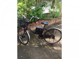 Xe đạp điện giá rẻ
