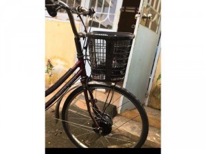 Xe đạp điện giá rẻ