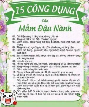 Tinh chất mầm đậu nành