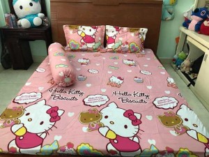 Trọn bộ 5 món gồm 2 vỏ gối nằm+ 1 vỏ gối ôm + ga bọc chun +1 chăn ( mền)