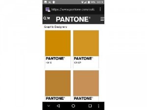 Bán pantone màu usa của Mỹ, xịn