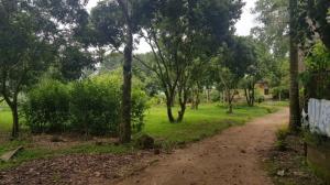 Bán 6.900 m2 đất thổ cư xã Nhuận Trạch, huyện Lương Sơn, Hòa Bình