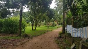 Bán 6.900 m2 đất thổ cư xã Nhuận Trạch, huyện Lương Sơn, Hòa Bình