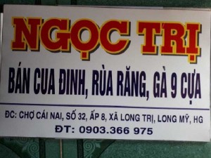 Bán Cua Đinh Việt, Ngọc Trị