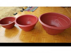 Chuyên sỉ và lẻ chậu nhựa trồng hoa