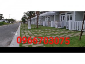 Cỏ trang trí cỏ thảm