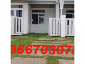 Cỏ trang trí cỏ thảm