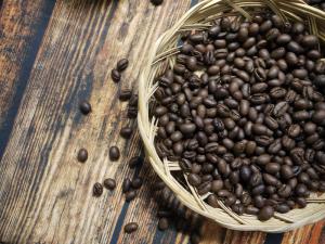 Cafe hạt nguyễn chất culi robusta