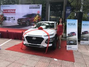 Hyundai Kona 2.0 bản đặc biệt
