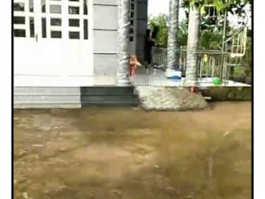Bán nhà đất biệt thự nghĩ dưỡng sinh thái