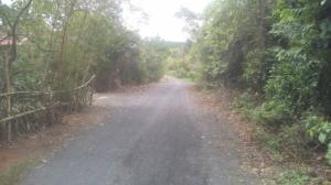 Bán đất Quảng Trị