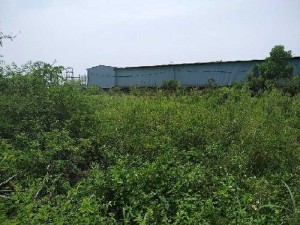 Bán 1ha mặt đường 353 Đồ Sơ