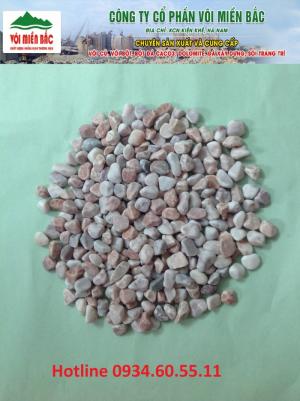 Sỏi Trang Trí Cao Cấp Các Loại Cho Ngành Xây Dựng