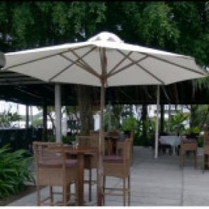 Dù chính tâm giá rẻ mai nguyễn