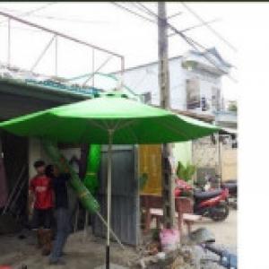 Dù chính tâm giá rẻ mai nguyễn