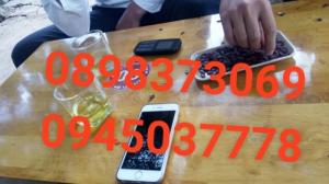 Mặt tiền nguyễn tri phương, đối diện phú mập 3
