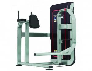Máy khối tập mông và đùi trước TGS-1015 - Gymaster