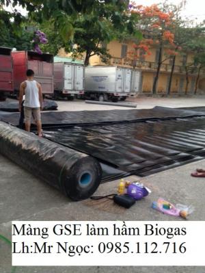 Màng chống thấm HDPE , vải địa kỹ thuật không dệt, vải dệt, giấy dầu chống thấm