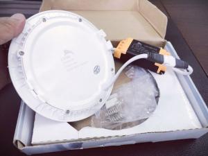 Đèn led LION