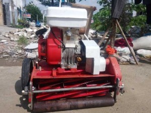 Bán máy cắt cỏ sân golf honda 4 thì