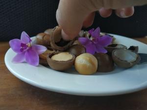 Hạt mắc ca Gia Lai
