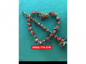 Hạt giống Thất diệp nhất chi hoa & cây giống Thất diệp nhất chi hoa