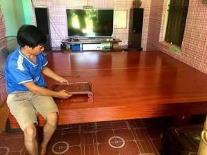 Chiếu ngựa xoan đào nam phi