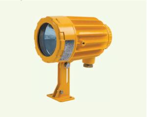 Đèn pha treo tường BAK51 chống cháy nổ Tân Quang Minh