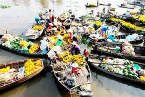 Tour Bến Tre - Bến Ninh Kiều - Chợ nổi Cái Răng (2n1đ)
