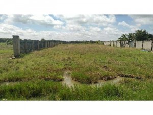 Mặt tiền 781. 60-200m. Thổ cư 500m2