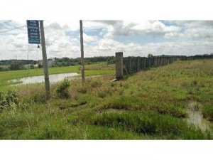 Mặt tiền 781. 60-200m. Thổ cư 500m2