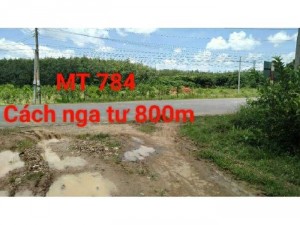 Bán đất mặt tiền 784. 36_75m thổ cư 450m