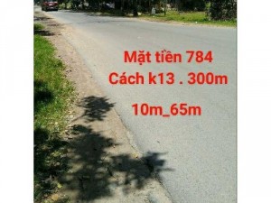 Bán đất mặt tiền 784. 36_75m thổ cư 450m