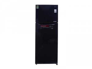 Tủ lạnh LG inverter 208 lít