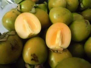Hồng dòn đà lạt sỉ lẻ